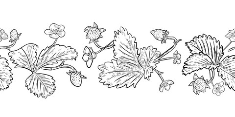 Strawberry fresh ripe outline vector seamless border isolated white. Botanical horizontal pattern with woodland berry hand drawn graphic sketch. Monochrome berry repeat design for textile, wallpaper. © Ekaterina Lanbina