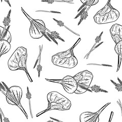 Plantain broadleaf medicinal plant black white vector seamless pattern. Botanical print of Plantago major leaf flower for herbal medicine. Repeat monochrome background for natural cosmetic and product © Ekaterina Lanbina
