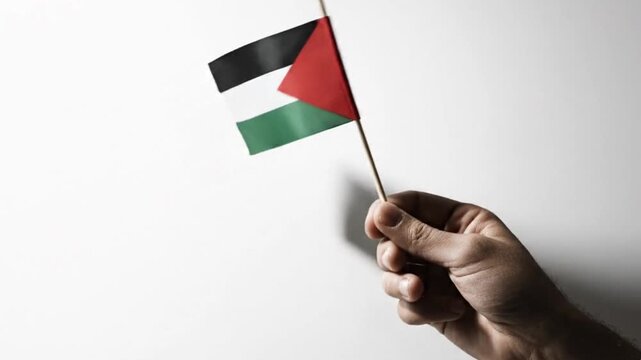 A hand holds a Palestinian flag against a bright white backdrop