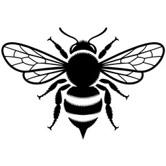 Obraz premium A black and white image of a bee