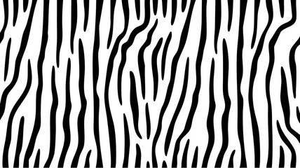 A striking close-up of a zebra’s patterned hide with bold contrasts. © Mansura