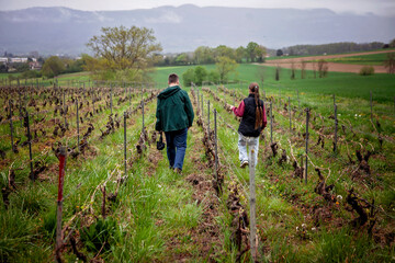 Obraz premium Scenic vineyard landscape with a father and daughter walking between grape rows. Peaceful rural escape focused on connection, quiet support, and mindful offline living.