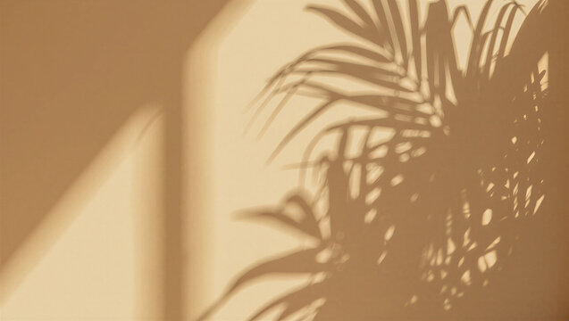 Tropical palm leaf shadow casting on a beige wall