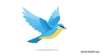Obraz premium Blue bird in flight with yellow belly and orange beak on white background for world wildlife day