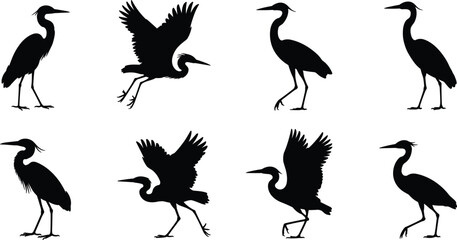 Fototapeta premium Heron Bird Silhouette Collection Isolated on White Background, Elegant Wading Birds in Flying and Standing Poses, Black Vector Wildlife Illustration Set