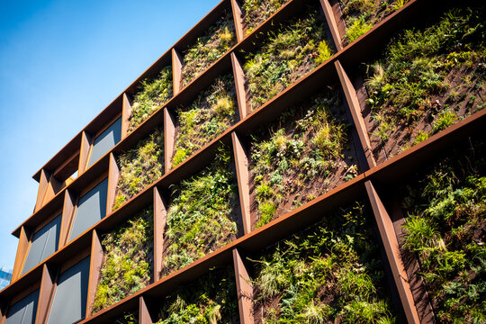 Modern sustainable urban architecture facade with greenery panels pattern under sky and sunlight made for abstract background concepts
