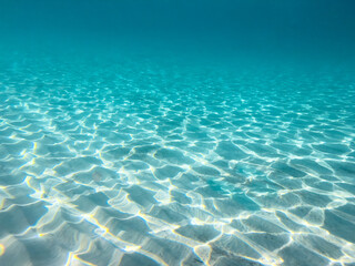 Considered one of the most crystaline waters in the world, underwater in Bahia de las Aguilas beach, Cabo Rojo, Dominican Republlic