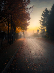 sunset in the city © Rafa