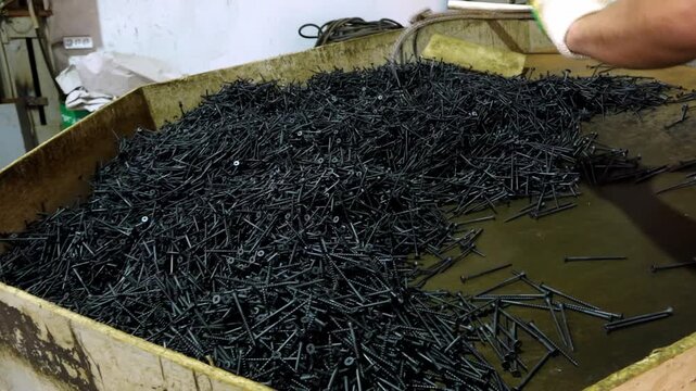 Workers sorting and transferring large quantity of black industrial fasteners in a factory.
