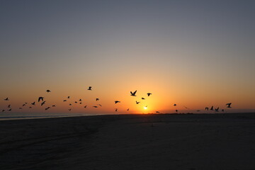 sunset on the beach © Rafa