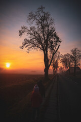 sunset in the desert © Rafa