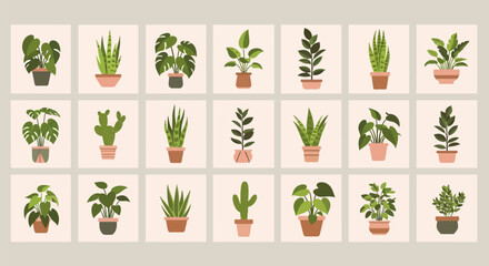 Collection of diverse potted plants in various pots on a neutral background for decoration