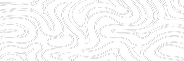 Abstract Gray Line Contour Hand Drawn Banner Background. Vector Illustration