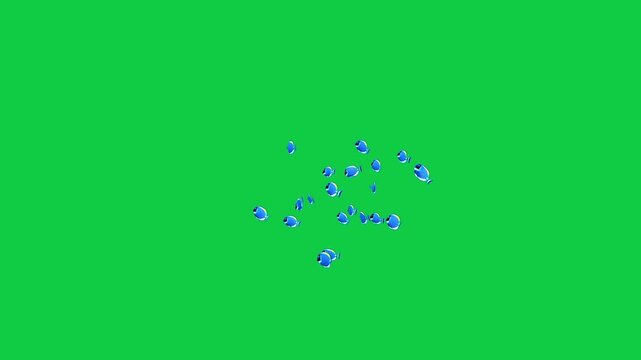 Shoaling and schooling  Beautiful coral reefs and tropical fish aquarium colorful sea salt water fantasy avatar alien fish deep sea fish green blue black screen