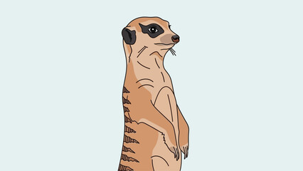 Meerkat standing upright against a light blue background. © icik icik bum