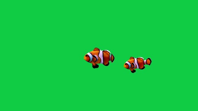 Beautiful clownfish coral reefs and tropical fish aquarium colorful sea salt water fantasy avatar alien fish deep sea fish green blue black screen