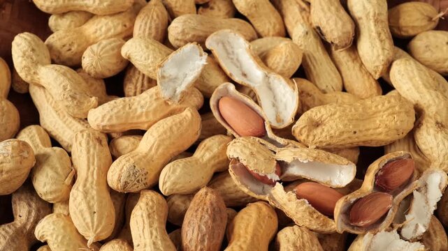 Hand picking and cracking peanuts shell.
