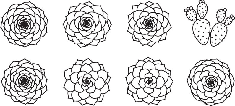 Succulent Collection and Prickly Pear Cactus Line Art Icons Isolated on White Background