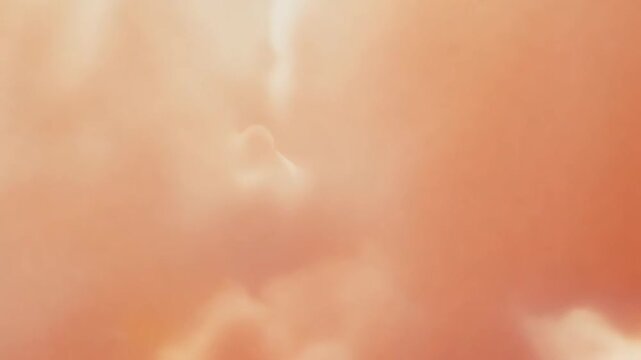 A serene loop of organic, blooming shapes in an abstract field. Soft, cloud-like forms in gradient hues of apricot, amber, and cream gently expand