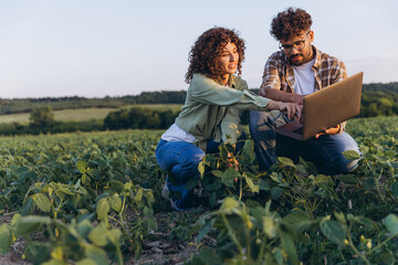 Agronomists analyzing soybean plants using laptop in cultivated field © anatoliycherkas