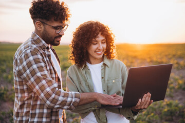 Agronomists using laptop in soybean field at sunset