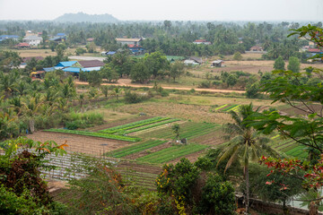 Intensive vegetable farming near the Phnom Chhnork limestone cave in Cambodia. Lines of vegetables