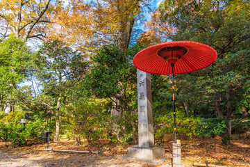 東京都文京区 秋の六義園