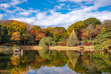 Fototapeta premium 東京都文京区 秋晴れの六義園