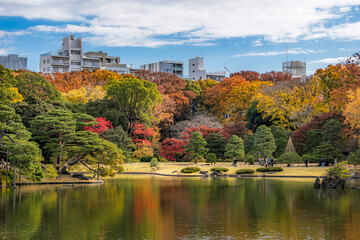 東京都文京区 秋晴れの六義園