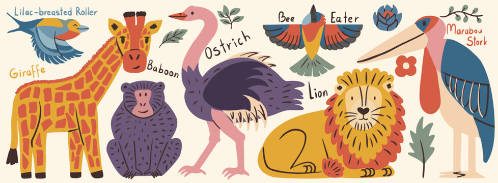 Vector set of cute cartoon African animals and birds including giraffe, lion and baboon, ostrich and stork with handwritten text names isolated on a light background.
