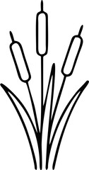 Cattail or bulrush water plants illustration in black line art