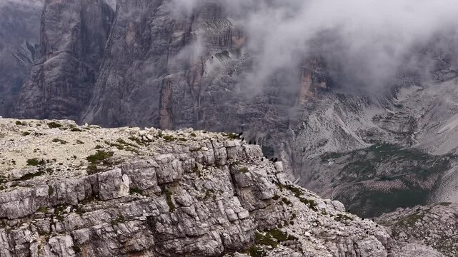 Aerial view of a herd of chamois on a dolomitic mountain ridge