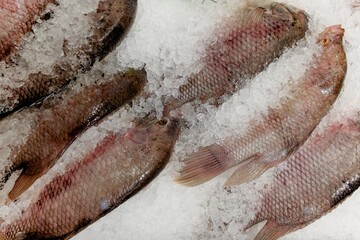 Close-up shot of fresh, whole fish, meticulously arranged on a bed of crushed ice, showcasing raw seafood in a market display, perfect for culinary and food-related themes, capturing texture