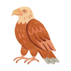 Fototapeta premium PNG Hand-painted eagle illustration