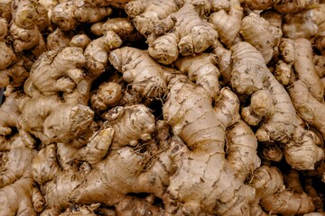 A close-up, high-angle shot showcasing a massive pile of fresh, unpeeled ginger roots, displaying their textured, tan-colored exteriors, representing the health and culinary ingredient.