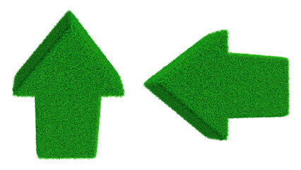 Obraz premium Green Grass Arrows Pointing Left and Up image