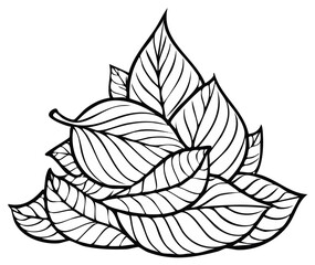 Decorative cluster of stylized leaves in black and white line art with delicate vein details