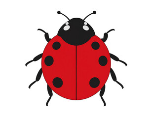 Ladybug on a white background with bold red elytra and black spots