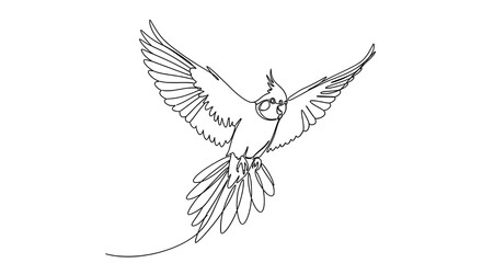 Obraz premium Minimalist continuous line art drawing depicts a cockatiel bird gracefully flying with wings spread wide open