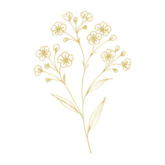 PNG Delicate golden floral illustration.