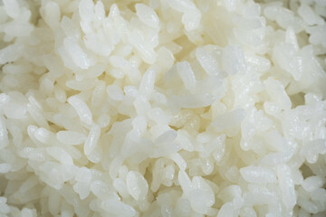 Close-up of freshly cooked Japanese rice with soft, fluffy texture and glossy grains, suitable for food background, Asian cuisine, restaurant menus, and commercial use.