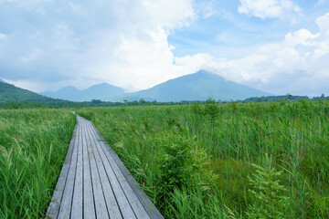 戦場ヶ原の木道と湿原 奥日光に広がる山と自然の風景 栃木県