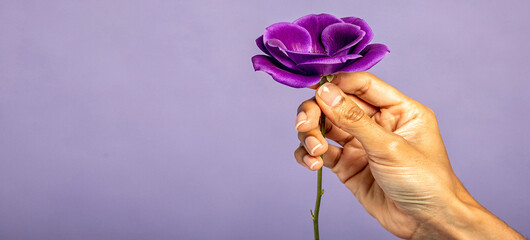 A hand gently holding a beautiful purple rose against a soft purple background