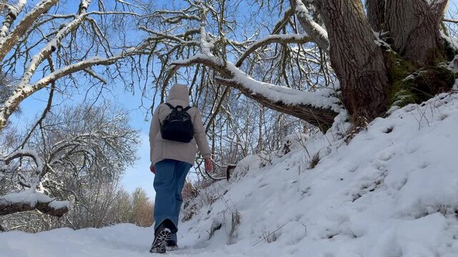 A warmly dressed woman walks through the snow. Winter walk in the forest. Warm jacket, jeans, and winter hiking boots. Shot from behind, below.