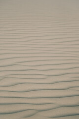 Obraz premium Tranquil image of windshaped sand waves with pale tones and graceful curves for artistic use