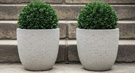 Pairs of identical pots with topiary plants beside weathered stone steps  
