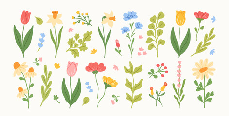 Set of spring and summer abstract hand drawn flowers. Tulips, daffodil, floral cute doodle elements, wildflower, leaves and herb, plants. Colorful drawing brush, crayon, line. Vector illustration.