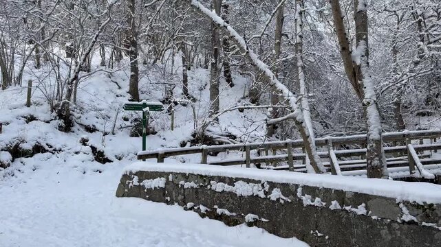A walk to a snow-covered waterfall in Grantown-on-Spey, Cairngorms National Park. Dava Way. Winter snow-covered forest and a bridge over a waterfall.