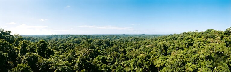 Fototapeta premium Lush Tropical Rainforest Canopy Panorama Under Blue Sky