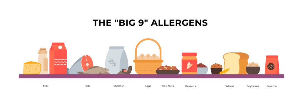 The Big 9 food allergens horizontal banner. Vector flat illustration of milk, eggs, fish, nuts, wheat, soy and sesame on a shelf for menu or website header.